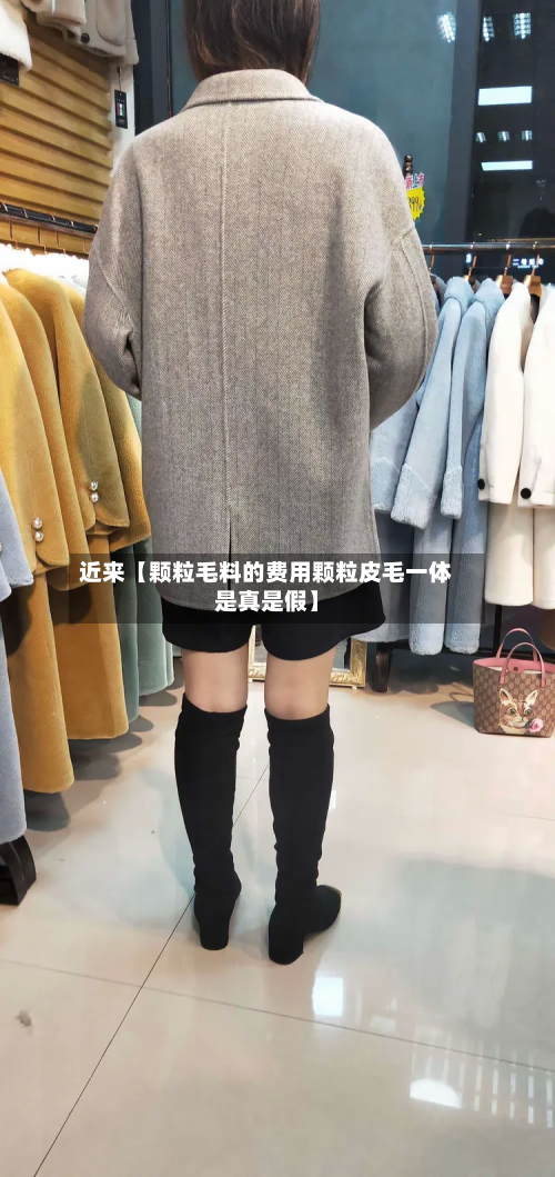 近来【颗粒毛料的费用颗粒皮毛一体是真是假】