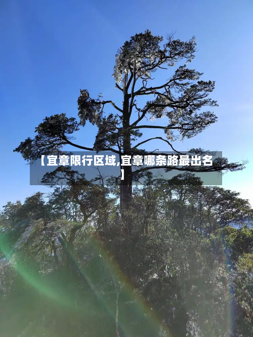 【宜章限行区域,宜章哪条路最出名】