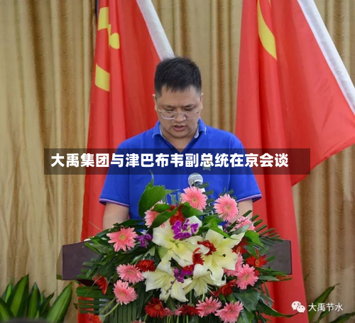 大禹集团与津巴布韦副总统在京会谈