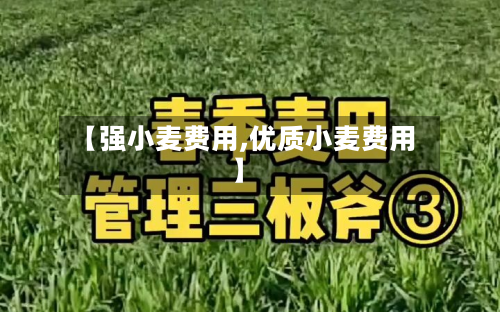 【强小麦费用,优质小麦费用】