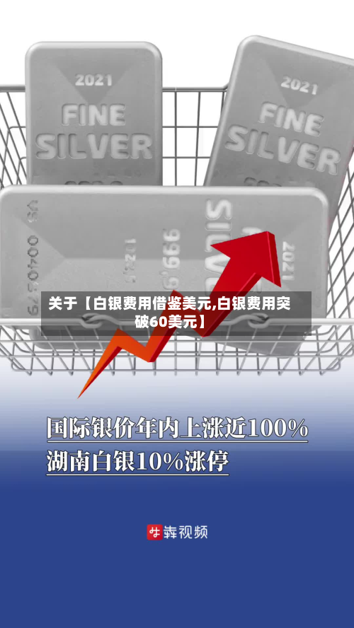 关于【白银费用借鉴美元,白银费用突破60美元】