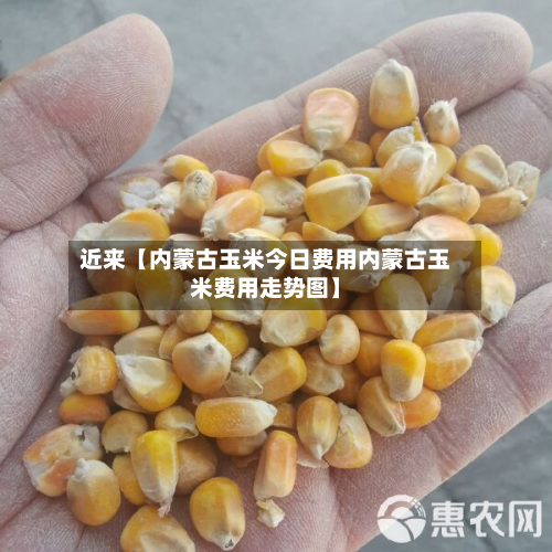 近来【内蒙古玉米今日费用内蒙古玉米费用走势图】