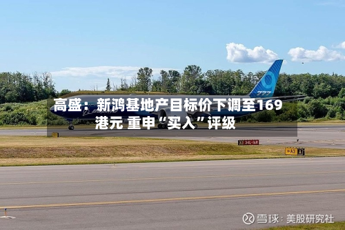 高盛：新鸿基地产目标价下调至169港元 重申“买入”评级-第1张图片