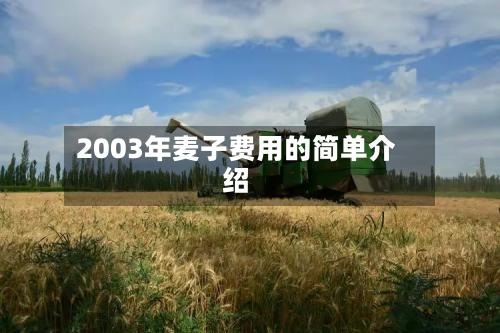 2003年麦子费用的简单介绍