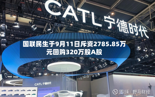 国联民生于9月11日斥资2785.85万元回购320万股A股-第1张图片