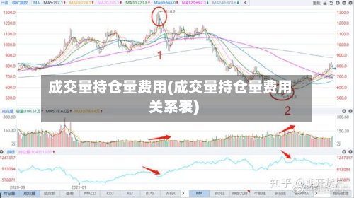 成交量持仓量费用(成交量持仓量费用关系表)