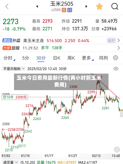 玉米今日费用最新行情(两小时前玉米费用)