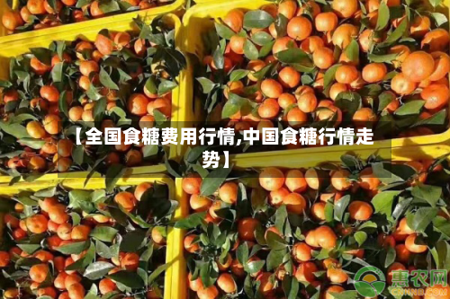 【全国食糖费用行情,中国食糖行情走势】