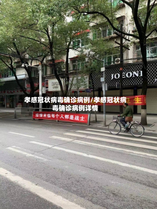 孝感冠状病毒确诊病例/孝感冠状病毒确诊病例详情-第1张图片