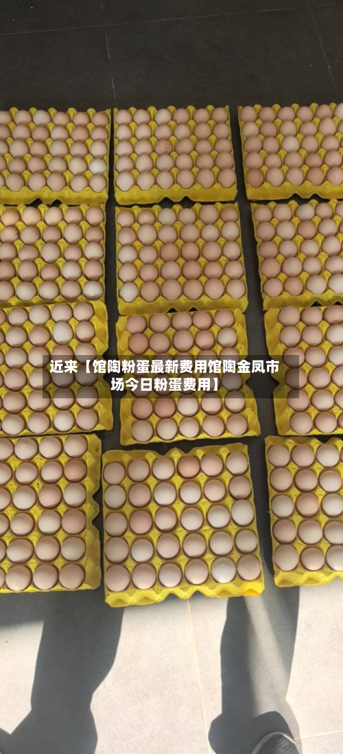 近来【馆陶粉蛋最新费用馆陶金凤市场今日粉蛋费用】-第1张图片