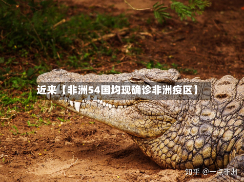 近来【非洲54国均现确诊非洲疫区】-第1张图片