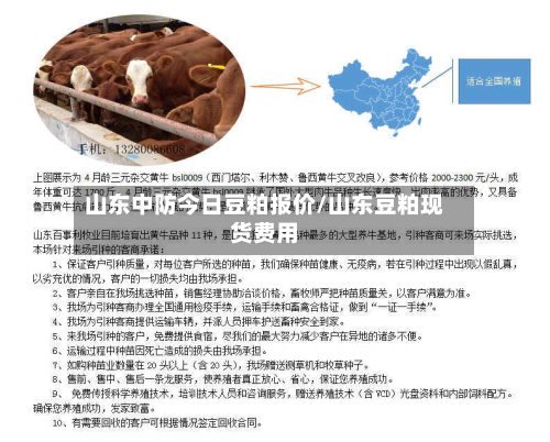 山东中防今日豆粕报价/山东豆粕现货费用-第1张图片