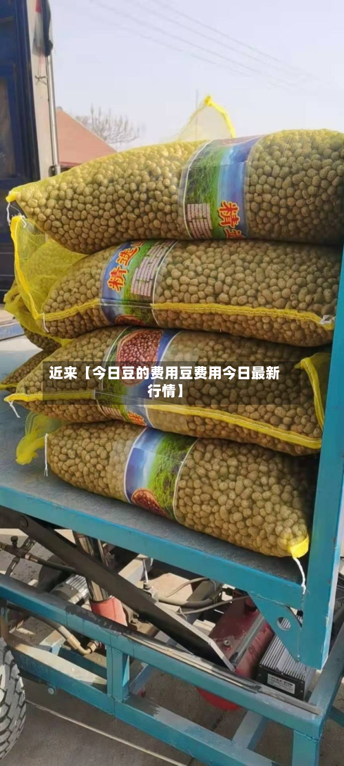 近来【今日豆的费用豆费用今日最新行情】-第1张图片