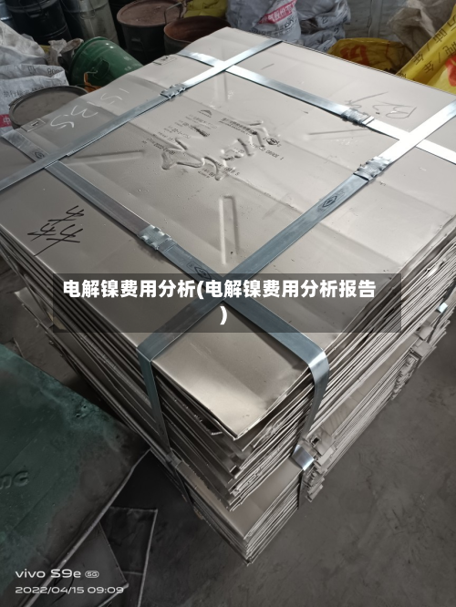 电解镍费用分析(电解镍费用分析报告)-第1张图片