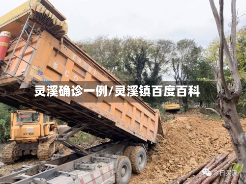 灵溪确诊一例/灵溪镇百度百科