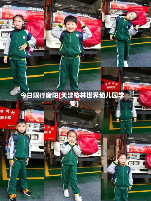 今日限行衡阳(天津格林世界幼儿园学费)