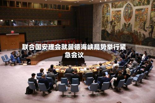 联合国安理会就曼德海峡局势举行紧急会议-第1张图片