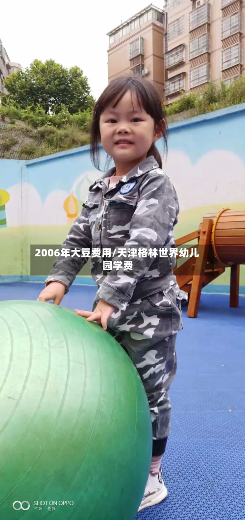 2006年大豆费用/天津格林世界幼儿园学费