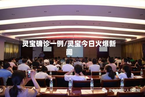 灵宝确诊一例/灵宝今日火爆新闻