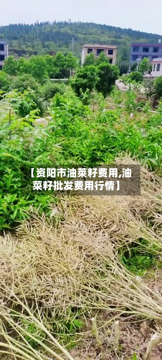 【资阳市油莱籽费用,油菜籽批发费用行情】