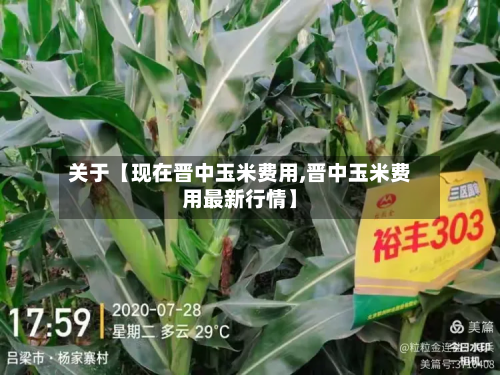 关于【现在晋中玉米费用,晋中玉米费用最新行情】