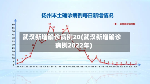 武汉新增确诊病例20(武汉新增确诊病例2022年)