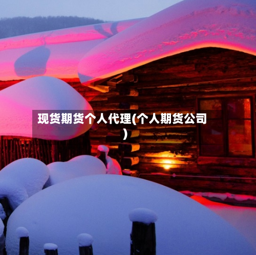 现货期货个人代理(个人期货公司)