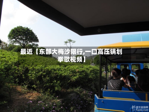 最近【东部大梅沙限行,一口高压锅划拳歌视频】