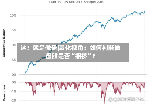 这！就是微盘|量化视角：如何判断微盘股是否“拥挤”？