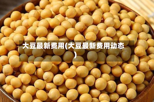 大豆最新费用(大豆最新费用动态)