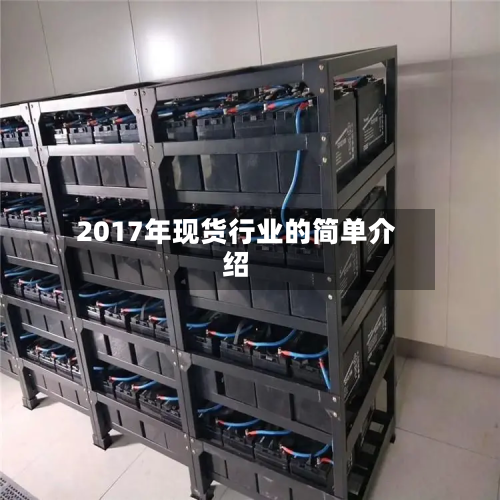 2017年现货行业的简单介绍