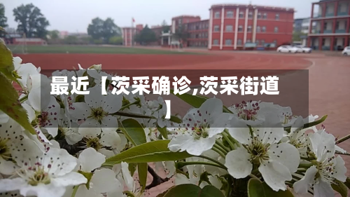 最近【茨采确诊,茨采街道】