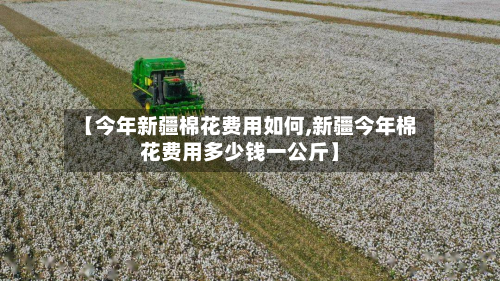【今年新疆棉花费用如何,新疆今年棉花费用多少钱一公斤】