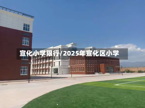 宣化小学限行/2025年宣化区小学