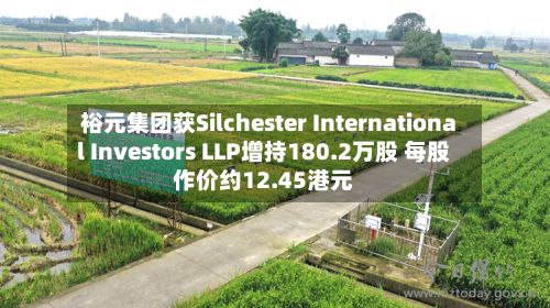 裕元集团获Silchester International Investors LLP增持180.2万股 每股作价约12.45港元-第1张图片