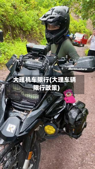 大理机车限行(大理车辆限行政策)