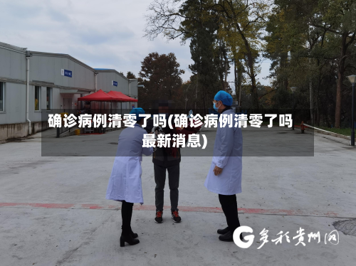 确诊病例清零了吗(确诊病例清零了吗最新消息)