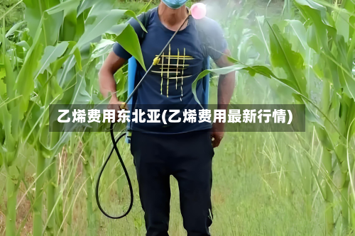 乙烯费用东北亚(乙烯费用最新行情)