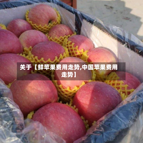 关于【鲜苹果费用走势,中国苹果费用走势】