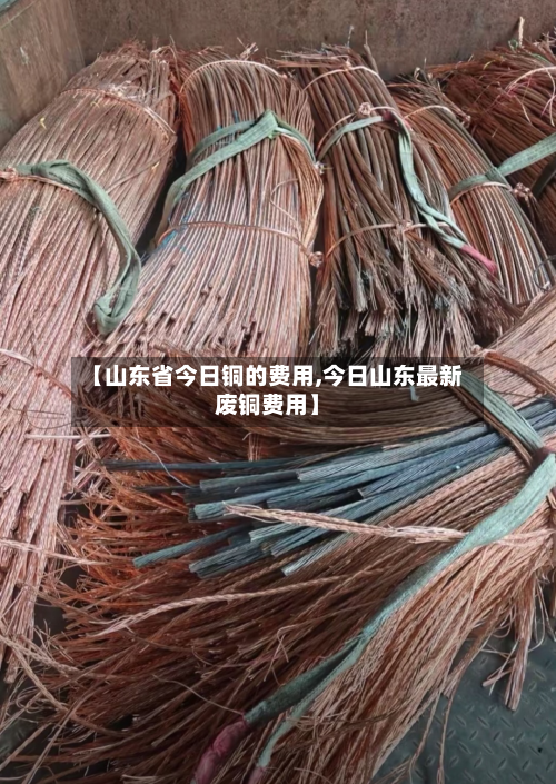 【山东省今日铜的费用,今日山东最新废铜费用】
