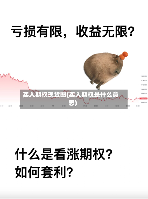 买入期权现货图(买入期权是什么意思)