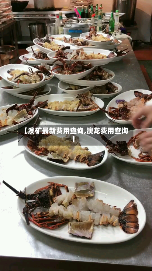 【澳矿最新费用查询,澳龙费用查询】