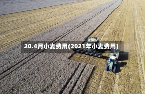 20.4月小麦费用(2021年小麦费用)