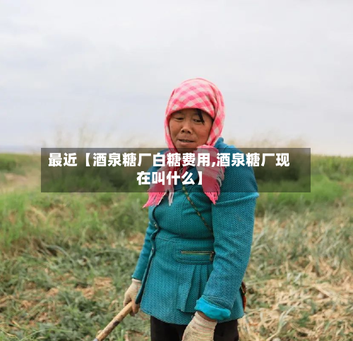 最近【酒泉糖厂白糖费用,酒泉糖厂现在叫什么】