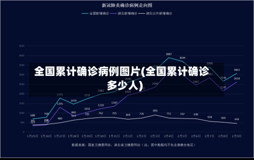全国累计确诊病例图片(全国累计确诊多少人)