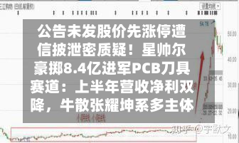 公告未发股价先涨停遭信披泄密质疑！星帅尔豪掷8.4亿进军PCB刀具赛道：上半年营收净利双降，牛散张耀坤系多主体跻身前前十股东行列