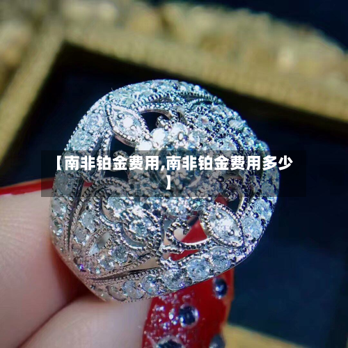 【南非铂金费用,南非铂金费用多少】