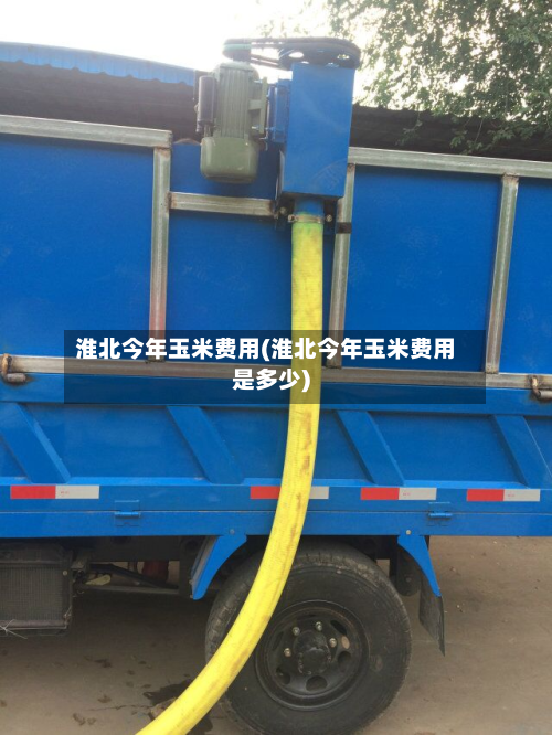 淮北今年玉米费用(淮北今年玉米费用是多少)