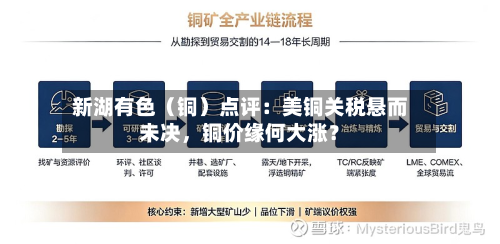 新湖有色（铜）点评：美铜关税悬而未决，铜价缘何大涨？-第1张图片