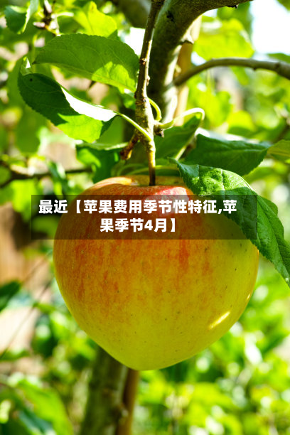 最近【苹果费用季节性特征,苹果季节4月】